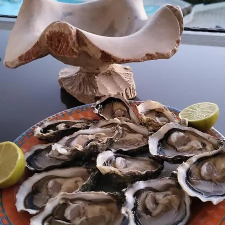 Superbe Avec Vue Panoramique Apartman *